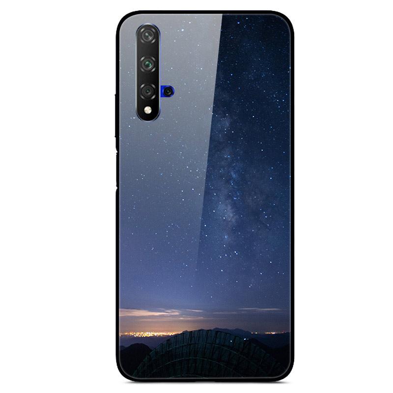 For Huawei Nova 5T Case Tempered Glass Cover 3D Cat Printing Case For Huawei Nova 5T 2019 5 T Phone Case For Huawei Nova5T Cover