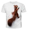 New Summer Men's Fashion T-shirt Personality Little Squirrel Printed Men's T-shirt Top