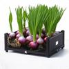 Multi-Level Planter Box for Outdoor Flower And Vegetable Gardening