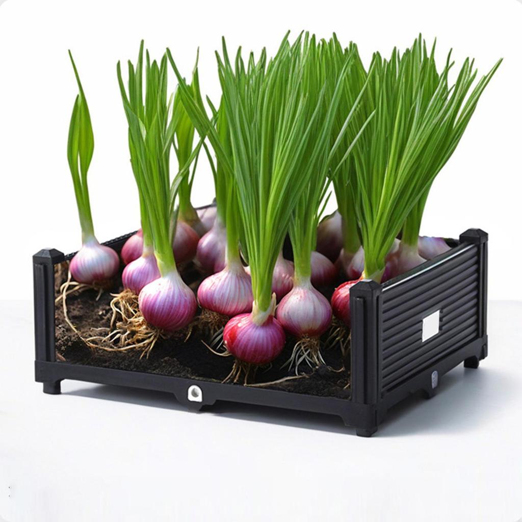 Multi-Level Planter Box for Outdoor Flower And Vegetable Gardening