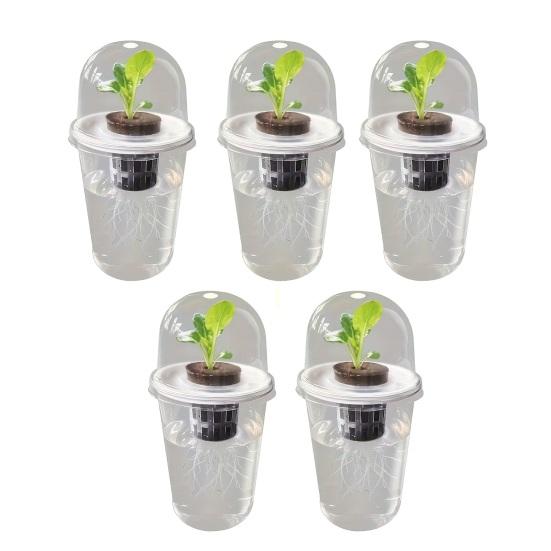 Pflanzenvermehrungsstation Samen Pflanzgefäß Transparenter Becher mit Sämlingen Pflanzenkeimung Starter Hydroponischer Korb Kuppelförmiger Deckel