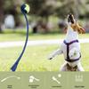 Dog Interactive Fetch Toy Set