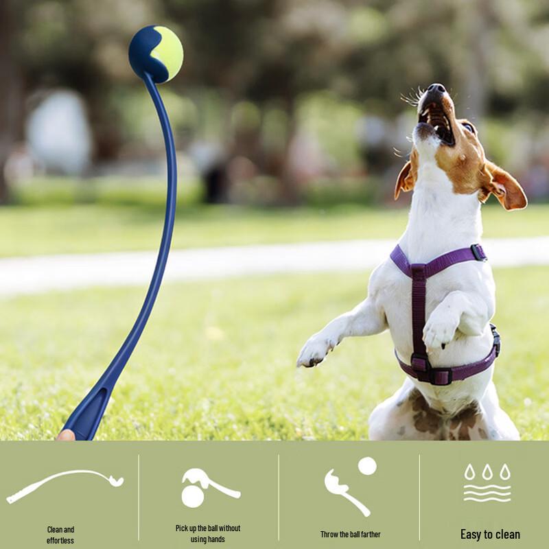 Dog Interactive Fetch Toy Set