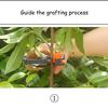 Garden Tools Grafting Machine Tree Grafting Tools Secateurs Scissors Grafting KIT Cutting Pruner