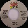 7inch Record LUKIE D  Here I Am SD013 Supa Doo 2002 Jamaica Reggae Ska  Dub Used