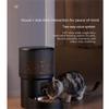 Large Capacity Smart Pet Feeder Voice Control Pet Intelligent Feeder Automatic Pet Feeder  Home Use