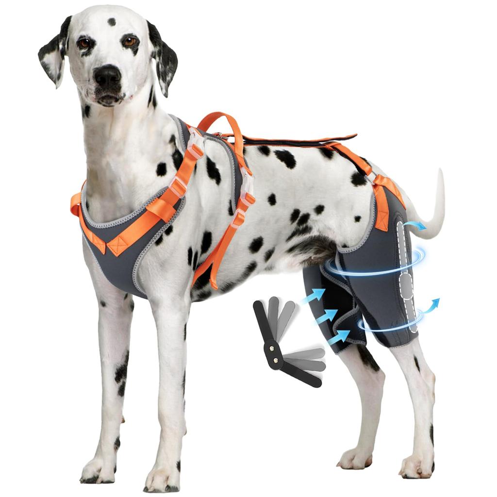 Dog Knee Brace Torn Acl Hind Leg Brace Support Luxating Patella Cruciate Ligament Joint Relief Pain Dog Elbow Brace Sleeve