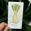 The Essential Oils Healing Deck 52 Cards To Enhance Body, Mind & Spirit 11*6cm