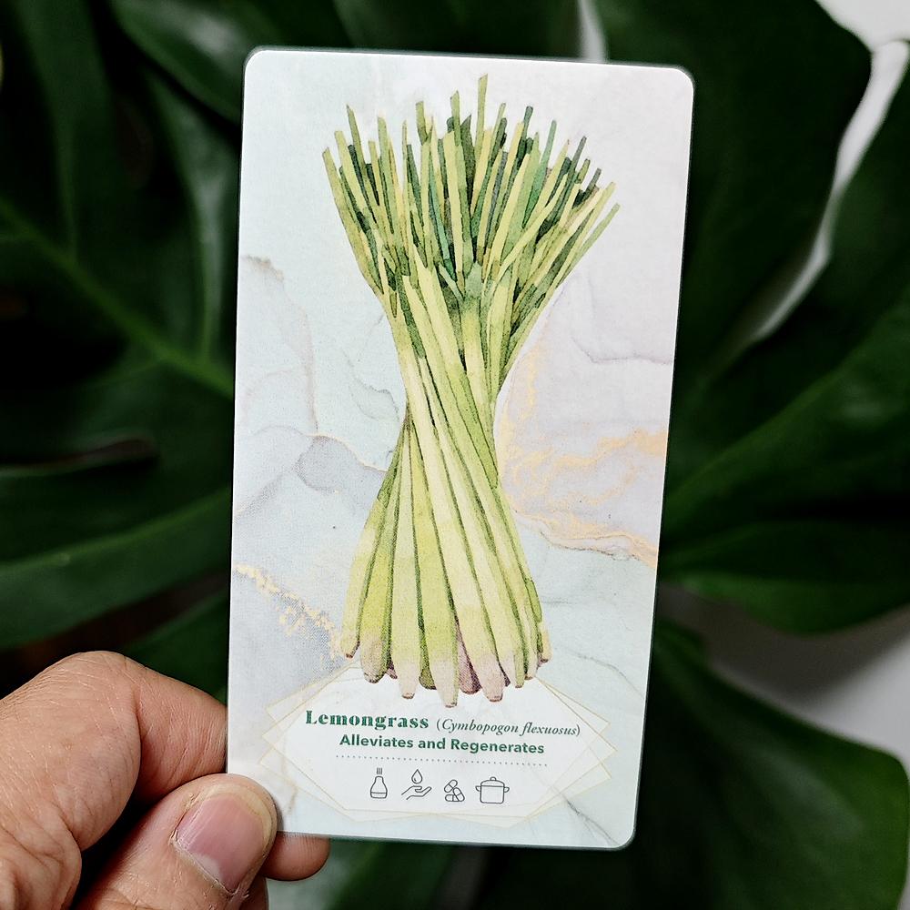 The Essential Oils Healing Deck 52 Cards To Enhance Body, Mind & Spirit 11*6cm