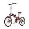 OT02PRO, rosso/verde, potenza motore 250W, 36V, batteria staccabile 5.2AH, pneumatici 20*1.35 pollici, bicicletta elettrica da città, velocità massima 25KM/H