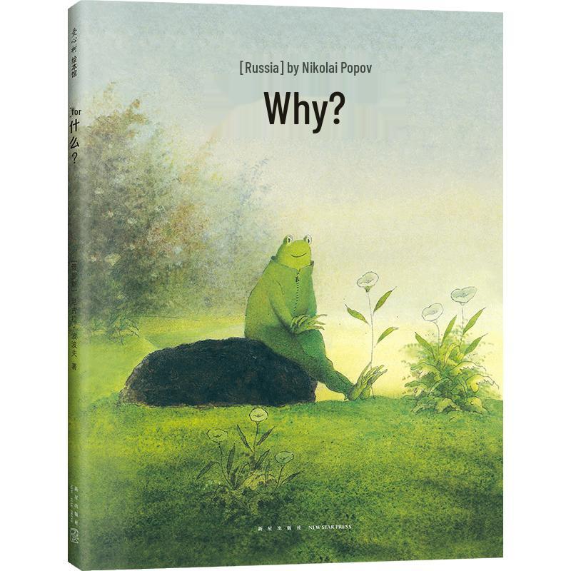 Why: Wordless Picture Book for Social Emotional Learning