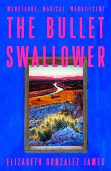 The Bullet Swallower by Elizabeth Gonzalez James Hardback Book 9781399709064