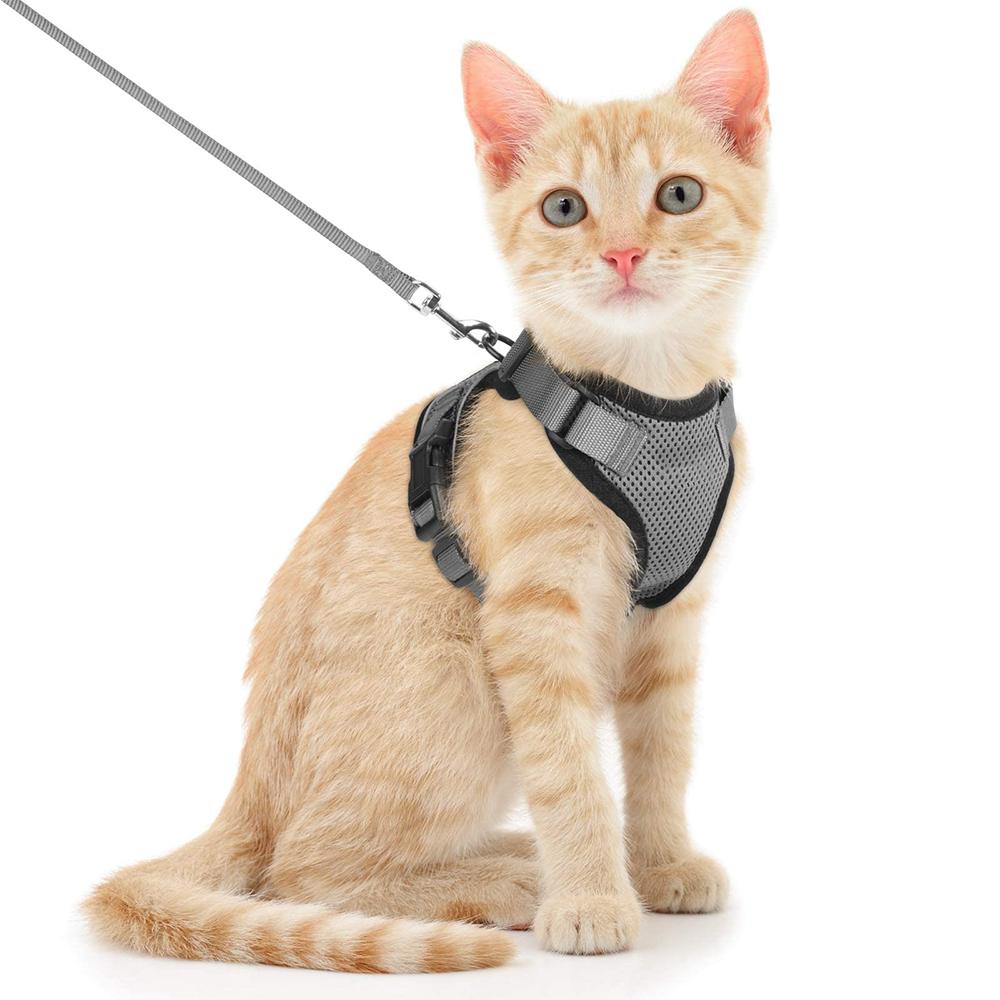 Cat Puppy Outdoor Walking Supplies Fashion Pet Harness And Leash Set For Small Dogs Cats Breathable Durable Kitten Harnesses XS серый