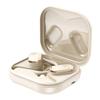 Earbuds Voice Translation Device RealTime 139 Languages Online Offline Wireless BT TwoWay