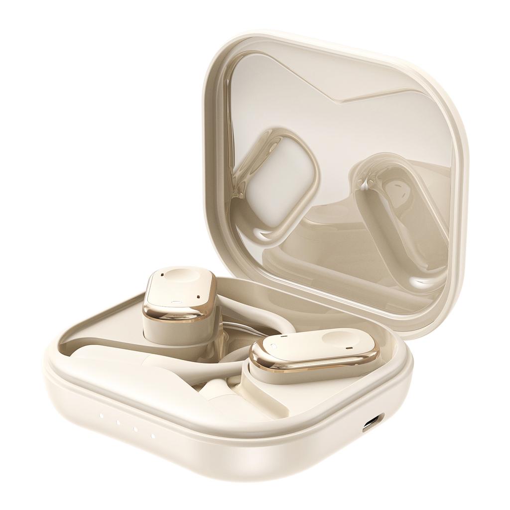 Earbuds Voice Translation Device RealTime 139 Languages Online Offline Wireless BT TwoWay