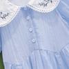 Toddlers Dresses for Girls Children's Dress Summer Kids School Costumes Short Sleeve Casual Princess Dress