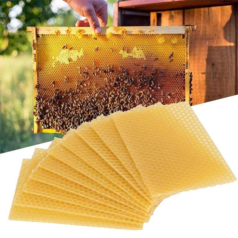 10pcs Bee Wax Foundation Bee Hive Wax Frames Base Sheets Bee Comb Honey Frame Beeswax Sheets Beekeeper Equipment