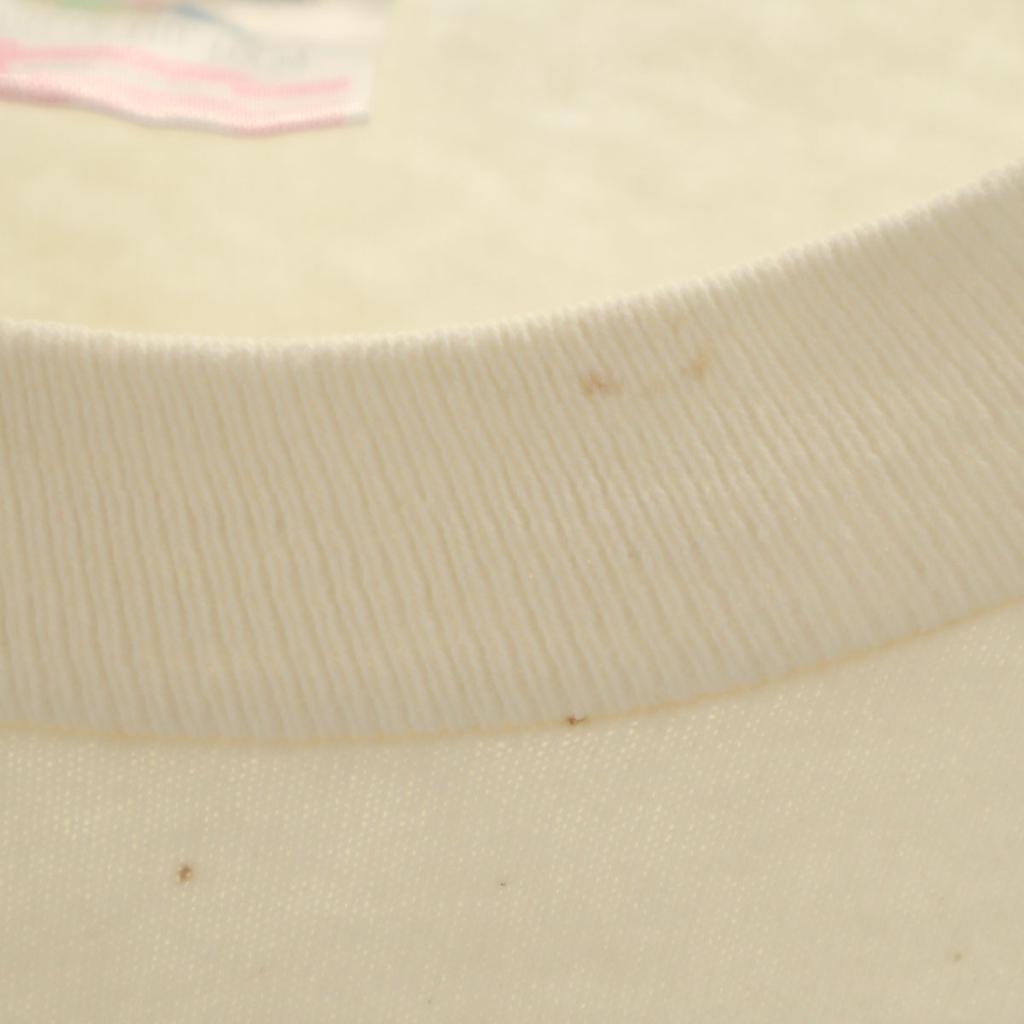 FRUIT OF THE LOOM 90s Made In USA Old Short Sleeve T-shirt Single Stitch Men's Used