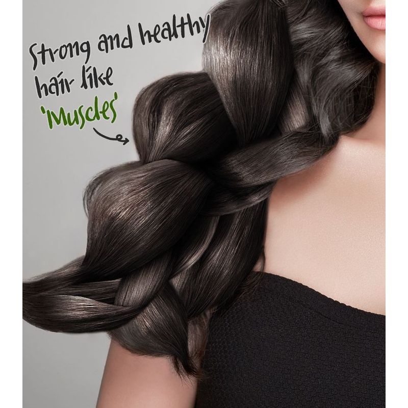 Elizavecca - Cer-100 Collagen Coating Hair A+ Muscle Essence