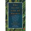 The Secret Life of Nature [Jan 01, 2009] Tompkins, Peter