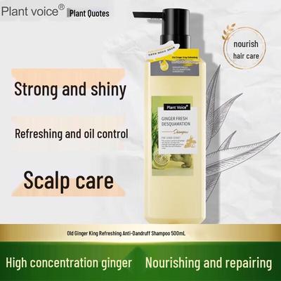 Plant Language Ginger King Oil Control Anti-Dandruff Shampoo