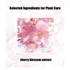 40ml Cherry Blossom Petal Anti Wrinkle Concentrated Essence - Reduce Wrinkles, Brighten Skin, and Deeply Moisturize