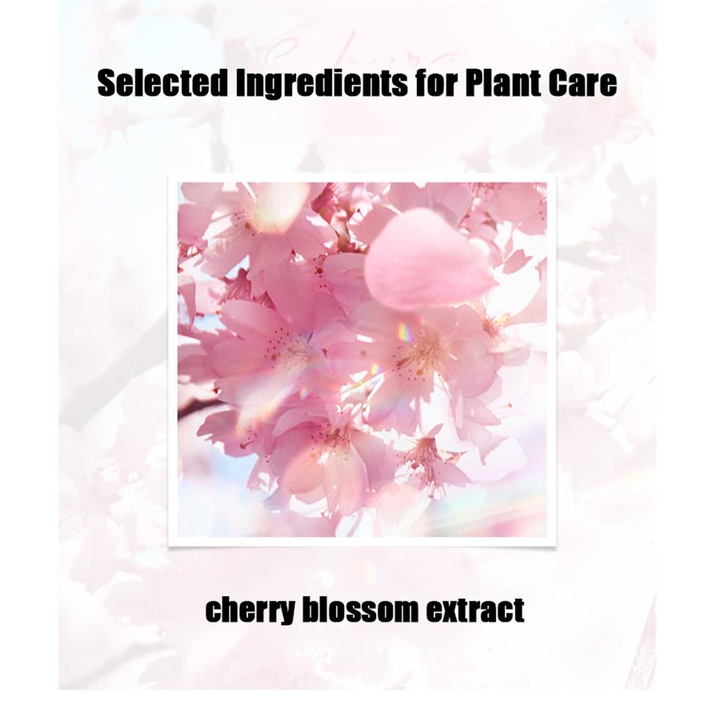 40ml Cherry Blossom Petal Anti Wrinkle Concentrated Essence - Reduce Wrinkles, Brighten Skin, and Deeply Moisturize