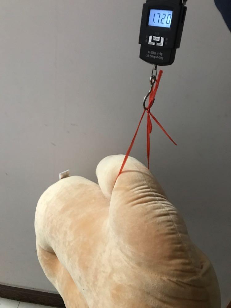 original girlfriend pillow