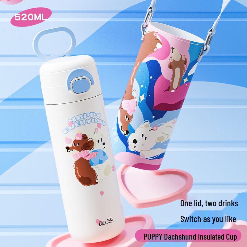 Dileber D9338 Stylish 520ml Insulated Water Bottle