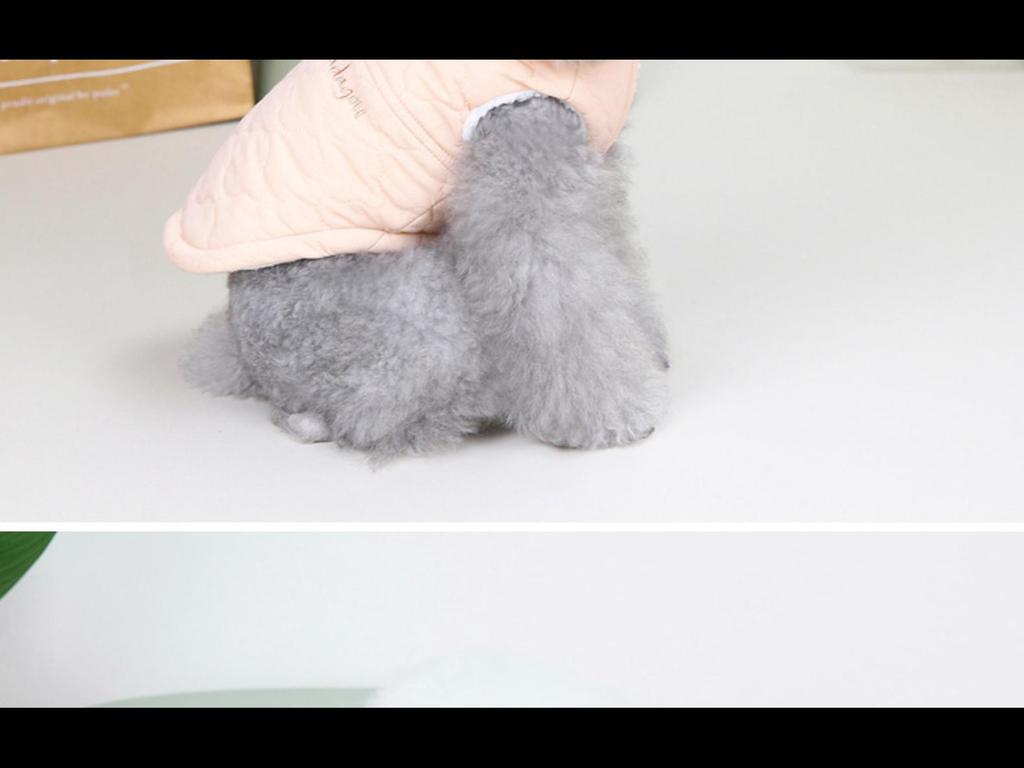 Autumn/Winter Pet Vest: New Cotton Coat with Fur Collar for Cats & Dogs - Available In Three Colors.