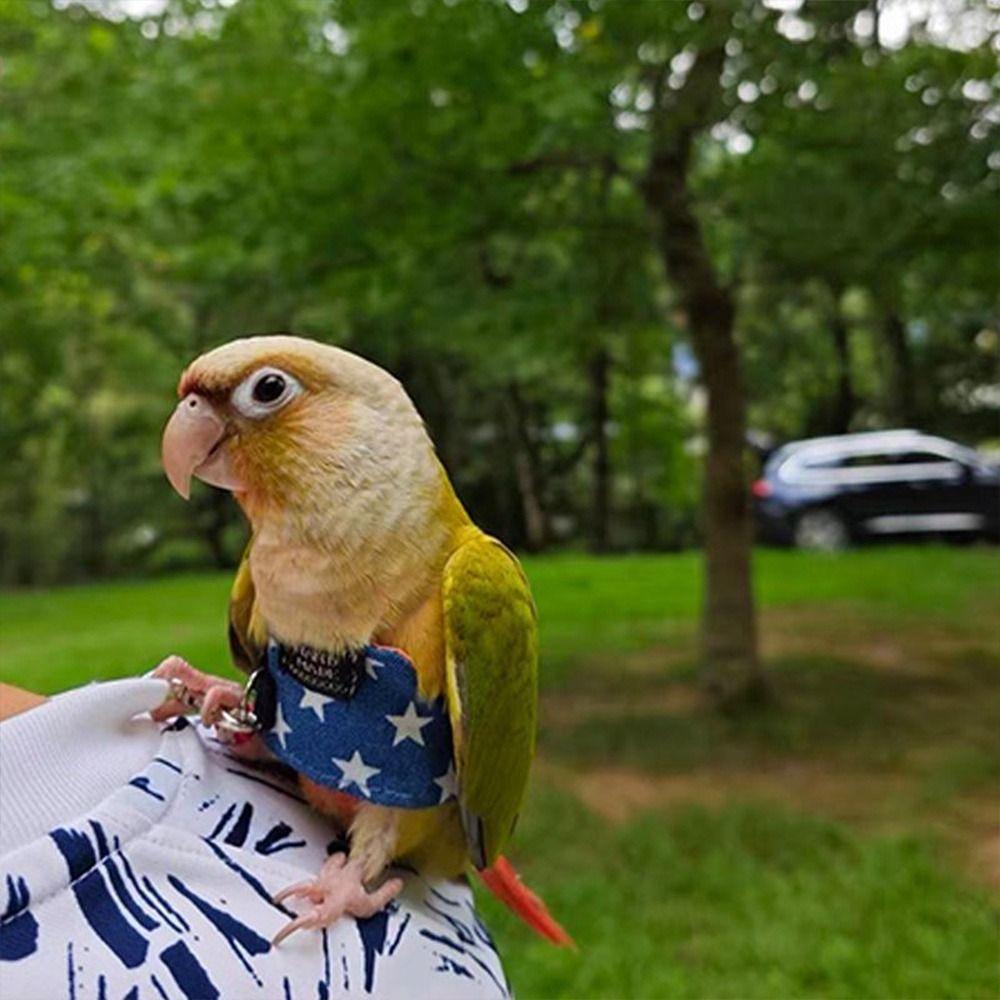 Cowboy Parrot Flying Harness with Leash Lightweight Parrot Vest Comfortable Bird Walking Suit