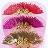 DIY Sequined Embroidery Patches Sequin Embroidery Lace Appliques  Dresses