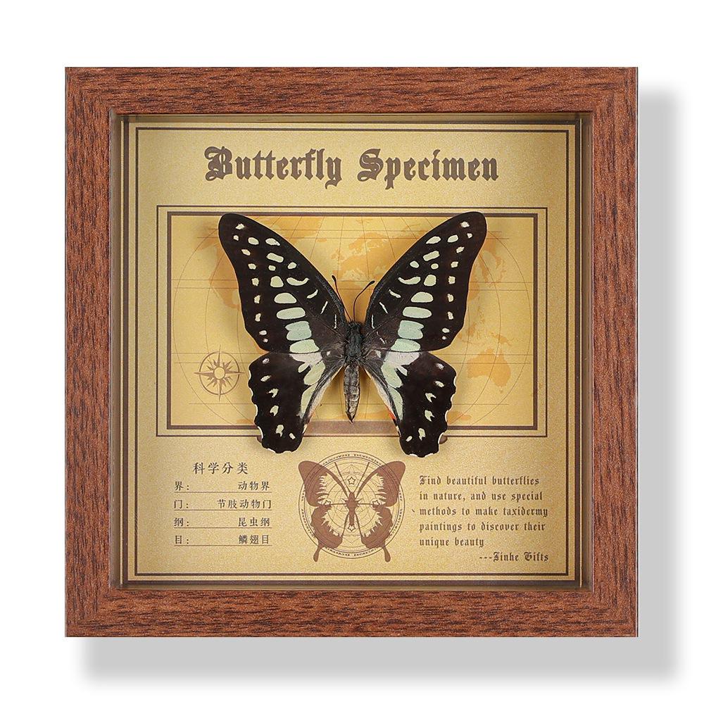 Real butterfly specimen photo frame, decorative painting, 3D ornament, handmade DIY, birthday gift, insect specimen