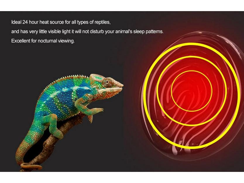 Infrared Neodymium Heating Bulb: 30W/40W/60W/100W/150W, Black, R63/R80/R95