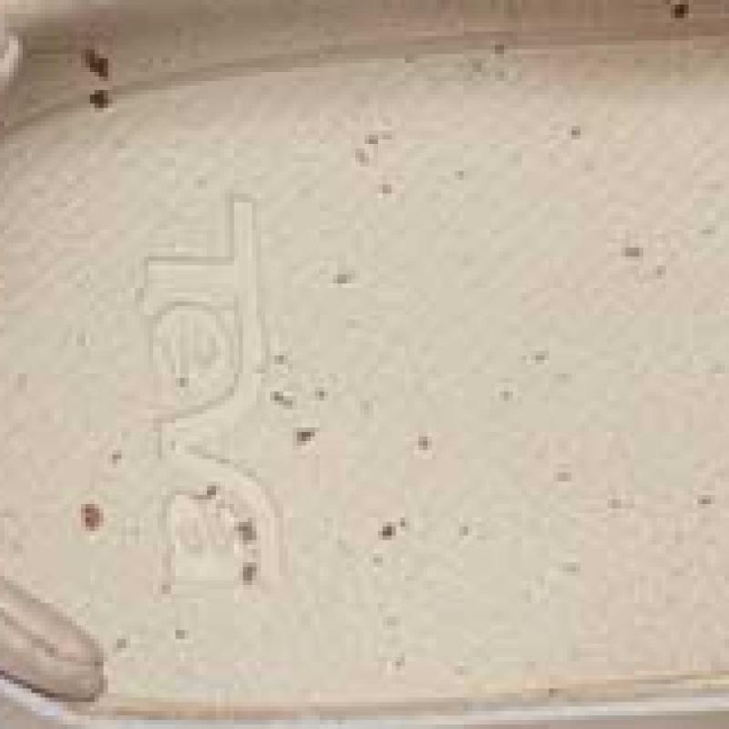 Teva Stylish Women Leather Sandal Stvf2512570 Bir