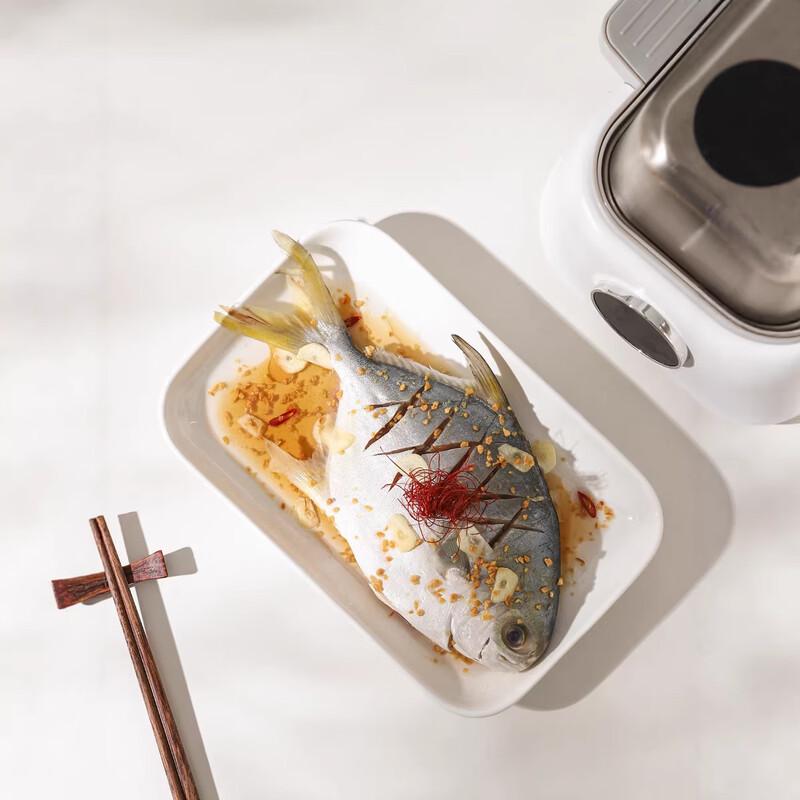 11.5-inch Rectangular Ceramic Steaming Plate