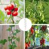 Latest Spiral Tomato Pile Butterfly Orchid Fixed Rod Climbing Iron Art Support Metal Flower Frame Garden Plant Bracket