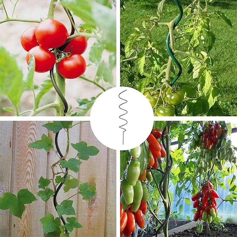 Latest Spiral Tomato Pile Butterfly Orchid Fixed Rod Climbing Iron Art Support Metal Flower Frame Garden Plant Bracket