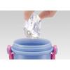 Skater Bouteille d'eau en plastique pour enfants, La Reine des Neiges 2 Disney, 480 ml, PSB5SAN