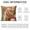 Cute Rabbit Cushion Cover Soft Plush Fabric Double-Sided Printed Sofa Cushion Cover For All Seasons Home Decor Gift