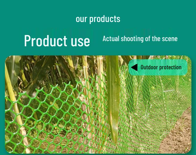 Dickes grünes Plastiknetzzuchtnetz für Geflügel und Bienen