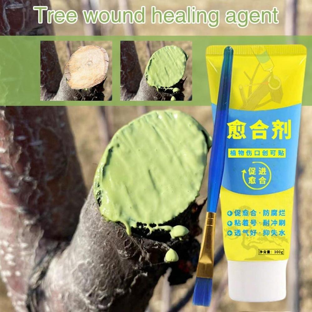 Smear Agent Tree Wound Sealant with Brush Plant Restoring Sealant New Pruning Compound  Tree Care