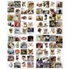 80 Cat Meme Tee Emoticon Pack 4 Open Graffiti Stickers Decorative Scooter DIY Personality Stickers