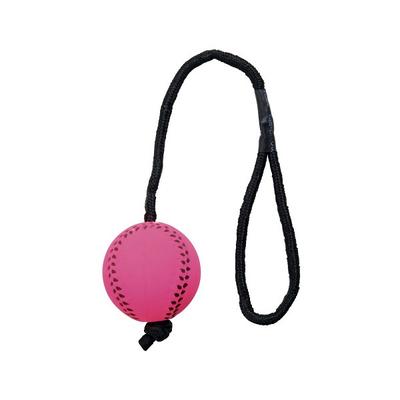 Dog Neon Color Rope Ball Toy (random Delivery)