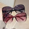 Large Frame Oval Shape Sunglasses for Women Fashion Designer UV400 Outdoor Sun Glasses