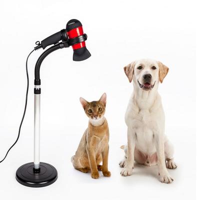 Support de séchage pour animaux de compagnie Sent Pet Stand, shampoing coréen pour animaux de compagnie