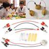 1 Set Children Bio Energy Science Kit Potato Fruit Supply Electricity Experiments Kids Student Learining