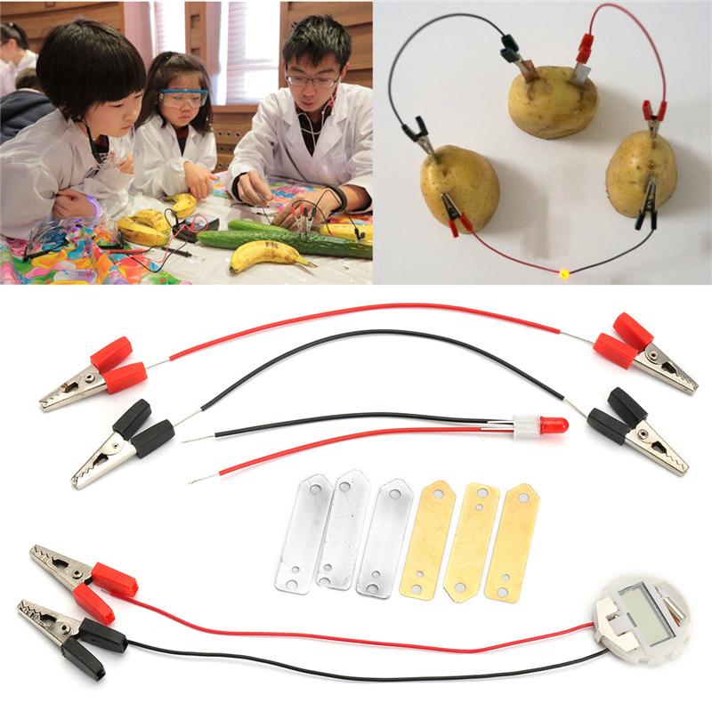 1 Set Children Bio Energy Science Kit Potato Fruit Supply Electricity Experiments Kids Student Learining