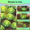 10pcs Garden Snail Collar Guard Plants Slug Protection Rings Flower Pot Cabbage Cover Plant Pest Control Trapper Garden Tools