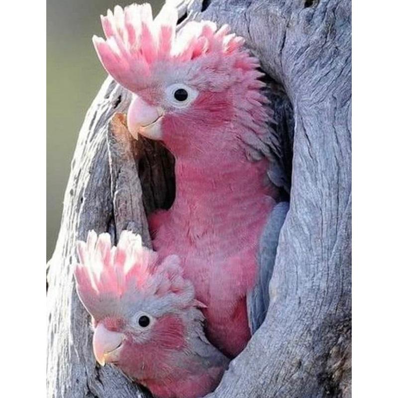 Full Square Diamond Painting Parrot Animals Bird Mosaic Diamond Embroidery Scenery Cross Stitch Home Decoration New Year Gift